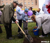 Сирень Победы 2015, Фото: 44