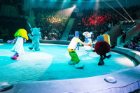 "Чудеса под Новый год" в Тульском цирке, Фото: 11