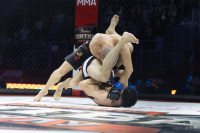 Битва за Тулу-2026, Фото: 101