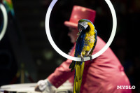 Шоу воды, огня и света, Фото: 24