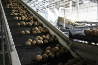 Дмитрий Миляев посетил промышленные предприятия в Республике Беларусь, Фото: 8