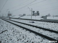 Под Тулой поезд насмерть сбил мужчину, Фото: 5