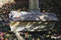 Всехсвятское кладбище, Фото: 115