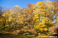 Золотая осень в Ясной Поляне, Фото: 26