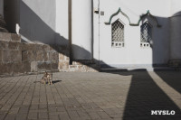 Всехсвятское кладбище, Фото: 53