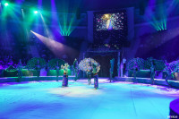 Шоу Гии Эрадзе «5 континентов» в Тульском цирке: феерия уже началась!, Фото: 30
