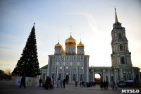 В Тульском кремле открылась новогодняя елка, Фото: 1
