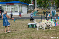 Выставка собак в Туле, Фото: 108
