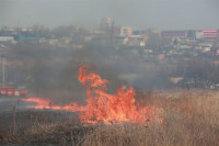 Возгорание сухой травы напротив ТЦ "Метро", 7.04.2014, Фото: 23