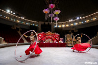 Грандиозное цирковое шоу «Песчаная сказка» впервые в Туле!, Фото: 16