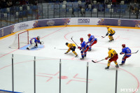 Финал Кубка губернатора Тульской области по хоккею, Фото: 11