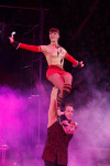 Губернаторская ёлка в цирке. 25 декабря, Фото: 17