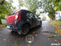На ул. Тимирязева машина повалила дерево после ДТП с такси, Фото: 1