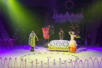 Премьера в Тульском цирке: шоу фонтанов «13 месяцев» удивит вас!, Фото: 33
