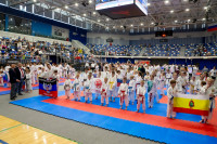 Тульская сборная взяла первое место на турнире по всестилевому каратэ, Фото: 10