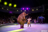 Цирк Инди Ра, Фото: 84
