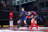 В «Тула-Арене» состоялись областные соревнования по ММА, Фото: 164