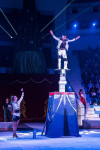 "Чудеса под Новый год" в Тульском цирке, Фото: 80