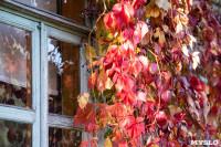 Золотая осень в Ясной Поляне, Фото: 40