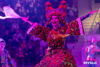 Цирковое шоу Жар птица, Фото: 88