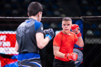 В «Тула-Арене» состоялись областные соревнования по ММА, Фото: 39