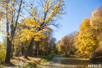 Золотая осень в Ясной Поляне, Фото: 25