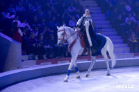 Цирковое шоу Жар птица, Фото: 34