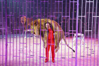 Премьера в Тульском цирке: шоу фонтанов «13 месяцев» удивит вас!, Фото: 38