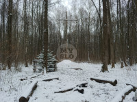 В Тульском лесу нашли загадочную поляну с крестами, елкой и зеркалами, Фото: 2