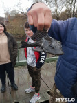 В Венёве под мостом поймали необычную рыбу, Фото: 4