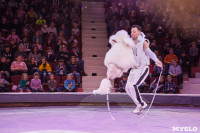 Туляков приглашают на новогоднее представление «Ёлка в цирке», Фото: 47