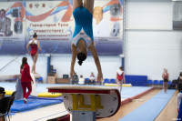 Всероссийские соревнования по спортивной гимнастике, Фото: 55
