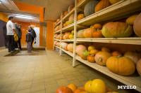 Эко-курорт «Ясно Поле», Фото: 32