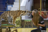 Фитнес для тигрят: как воспитываются будущие звезды цирка?, Фото: 29