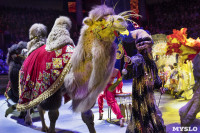 Грандиозное цирковое шоу «Песчаная сказка» впервые в Туле!, Фото: 1