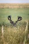 , Фото: 1