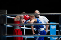 Финал "Гран-При Тулы" по боксу, Фото: 38