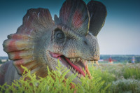 Парк динозавров, Фото: 11