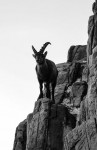 , Фото: 6