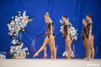 Соревнования по художественной гимнастике на призы благотворительного фонда «Земляки», Фото: 113