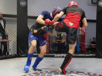 В Новомосковске прошел Чемпионат и Первенство Тульской области по ММА, Фото: 87