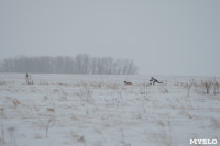Гонки на собачьих упряжках «Большой тур» на Куликовом поле, Фото: 93