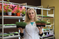Елена Киеня выращивает микрозелень, Фото: 35
