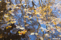 Золотая осень в Ясной Поляне, Фото: 21
