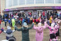 Широкая Масленица с Тульским цирком: проводы зимы прошли с аншлагом, Фото: 62