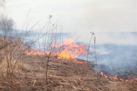 Возгорание сухой травы напротив ТЦ "Метро", 7.04.2014, Фото: 2