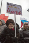 В Туле проходит митинг в поддержку Крыма, Фото: 11