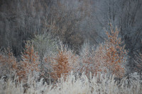 Тульский ноябрь, Фото: 10