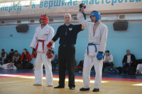 В Туле прошел традиционный турнир по рукопашному бою , Фото: 17