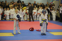Соревнования на Кубок Тульской области по каратэ версии WKU. 29 декабря 2013, Фото: 3